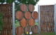 Arts Rutherglen Sculpture Trail - thumb 0