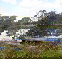 Baldwin Swamp Environmental Park - Attractions