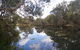 Baldwin Swamp Environmental Park - thumb 2