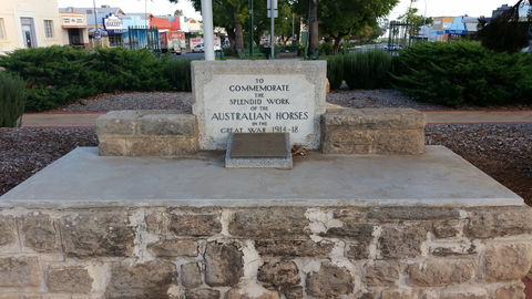 Barmera Horse Trough - Attractions 0