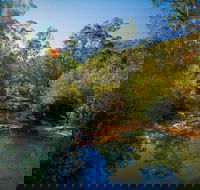 Bargo State Conservation Area - Attractions