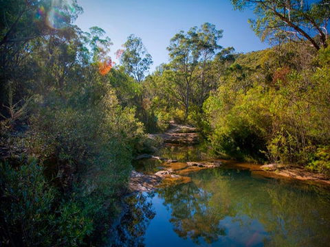 Bargo State Conservation Area - Attractions 0