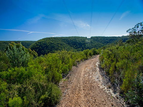 Bargo State Conservation Area - Attractions 1