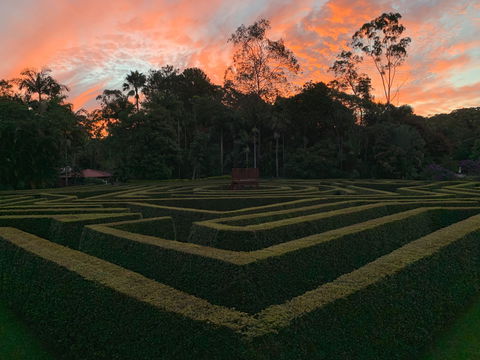 Bellingham Maze - Attractions Las Vegas 0