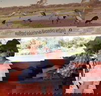 Bird Watching in Narrandera - Attractions