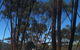 Boorabbin National Park - thumb 0