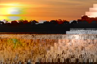 Bool Lagoon Game Reserve and Hacks Lagoon Conservation Park
