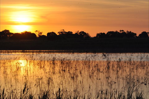 Bool Lagoon Game Reserve And Hacks Lagoon Conservation Park - Attractions 0