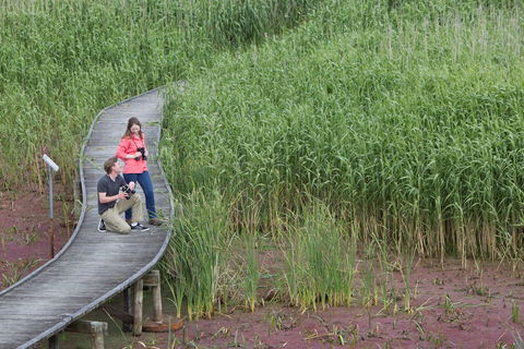 Bool Lagoon Game Reserve And Hacks Lagoon Conservation Park - Attractions 2