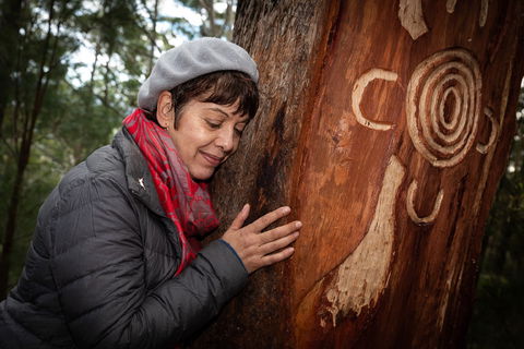 Bulahdelah Mountain Aboriginal Place - Attractions 1