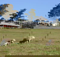 Calmsley Hill City Farm - Attractions