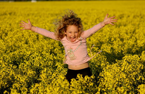 Canola Trail - Attractions 0