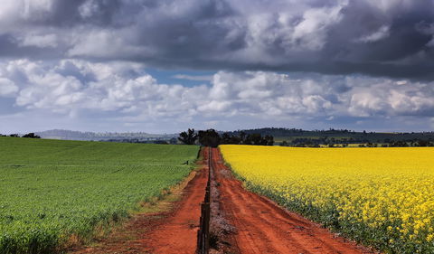 Canola Trail - Attractions 1