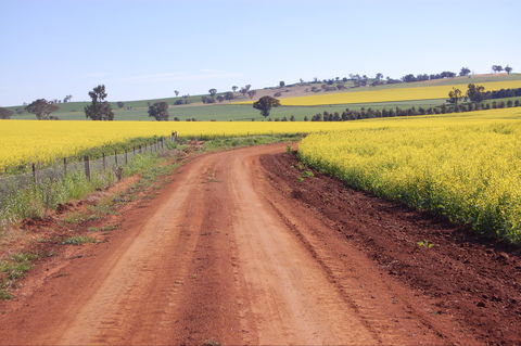 Canola Trail - Attractions 2