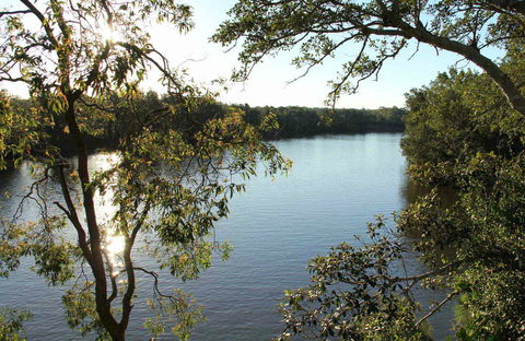 Cattai National Park - Attractions 0