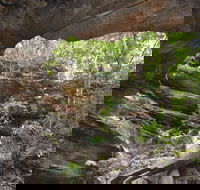 Cave Creek Walking Track - Attractions