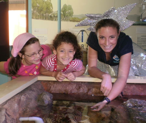 Central Coast Marine Discovery Centre - Attractions 0