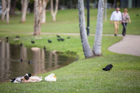 Centenary Lakes Park - Attractions 2