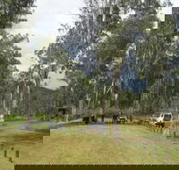 Chaelundi National Park - Attractions