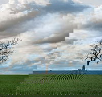 Clare Valley - Attractions