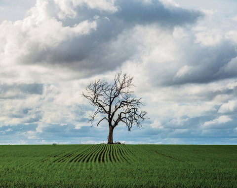 Clare Valley - See Attractions 0