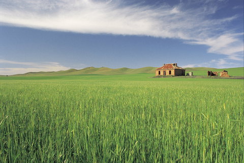 Clare Valley - See Attractions 1