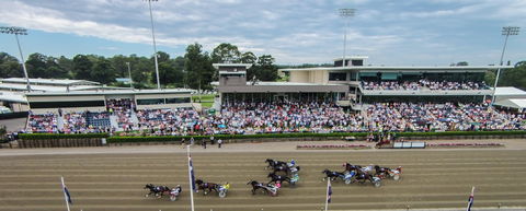 Club Menangle - Attractions 1