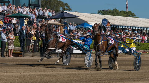 Club Menangle - Attractions 2