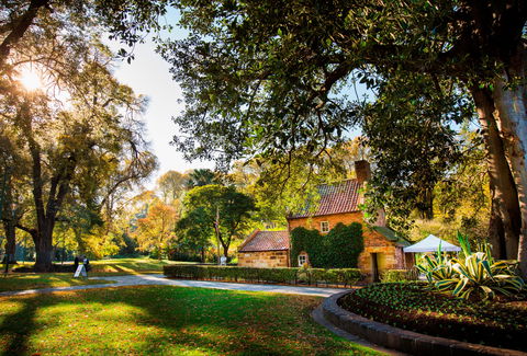 Cooks' Cottage - Attractions 2