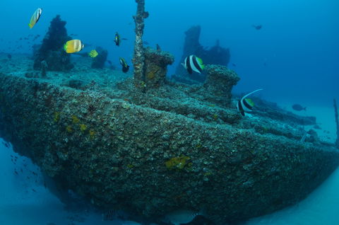 Curtin Artificial Reef Dive Site - Attractions Las Vegas 1