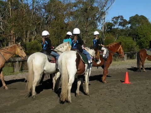 Darkes Forest Riding Ranch - Attractions 1