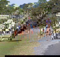 Dayboro - Attractions