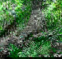 Djiru National Park - Attractions