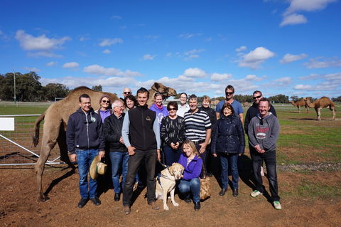 DromeDairy Body And Skin - Attractions 1