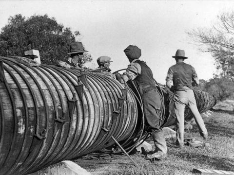 Dungog Museum - Attractions 1