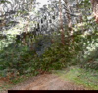End Peak walking track - Attractions