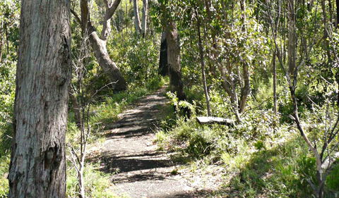 Euglah Rock Walking Track - Attractions 0