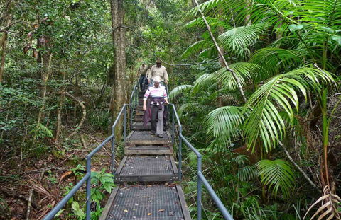 Falls Walking Track - Attractions 0