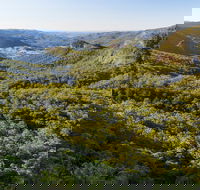 Gold Coast Hinterland Great Walk - Attractions