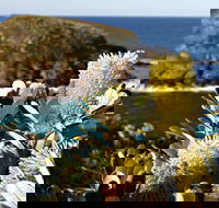 Green Island Walking Track - Attractions