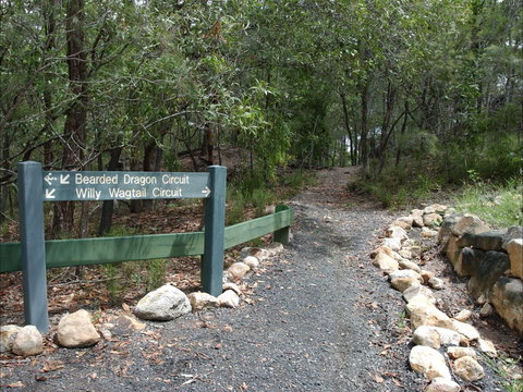 Haig Street Quarry Bushland Reserve Trails - Attractions 1