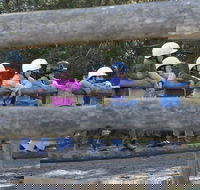 Harlow Park Horse Riding - Attractions