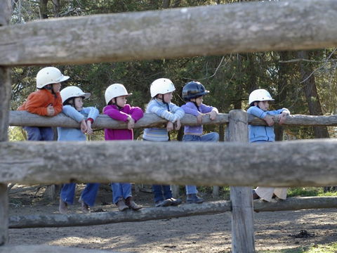 Harlow Park Horse Riding - Attractions 0