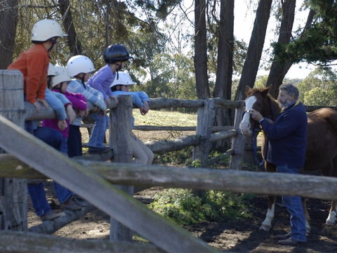 Harlow Park Horse Riding - Attractions 2