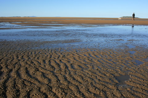 Illawong Beach - See Attractions 0