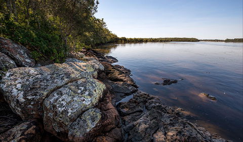 Karuah River National Park And Nature Reserve - Attractions 2