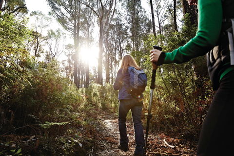 Kinglake National Park - Attractions 0