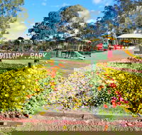 Kingaroy Rotary Park - Attractions