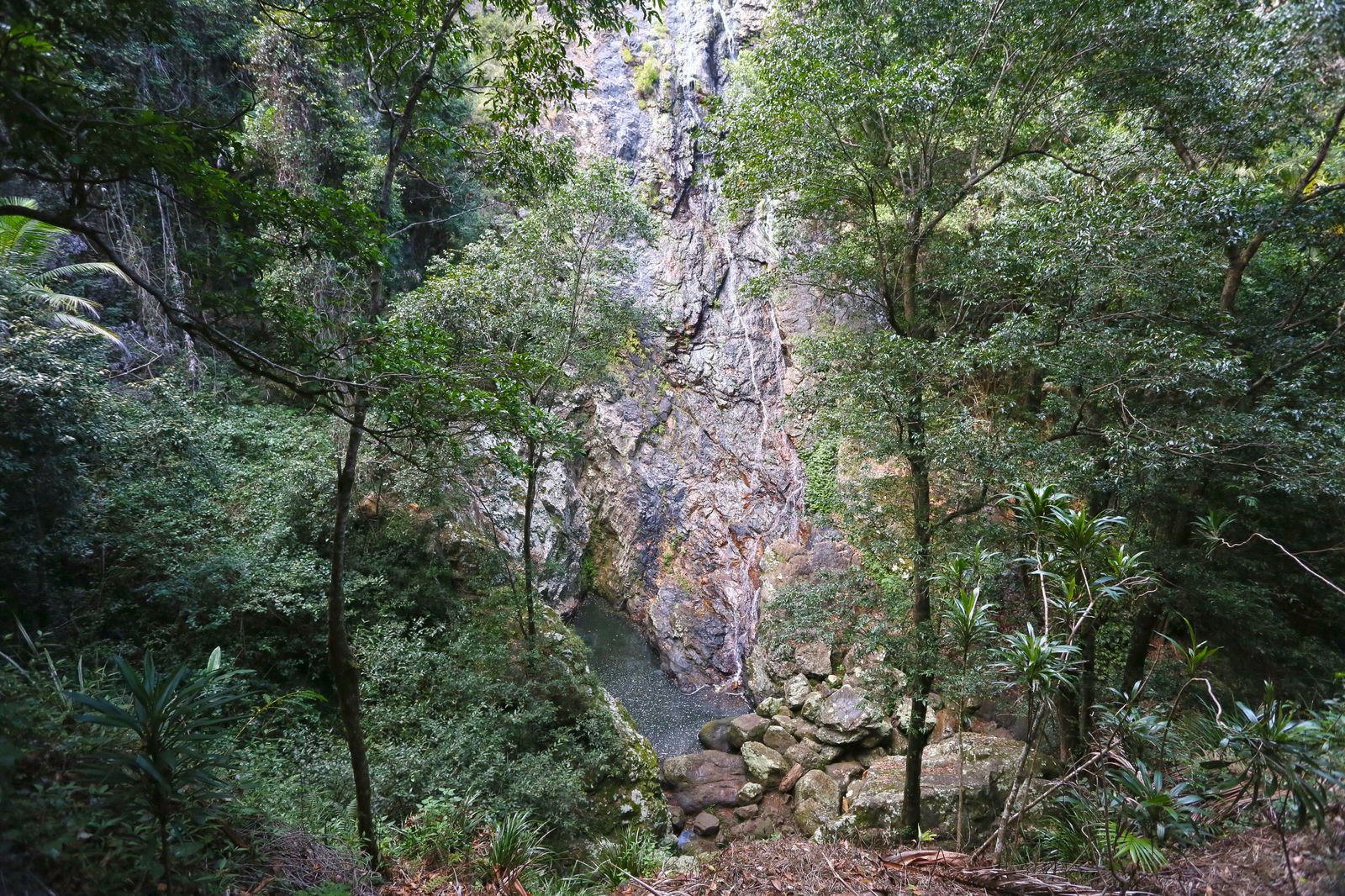 Sunshine Coast Hinterland QLD Attractions