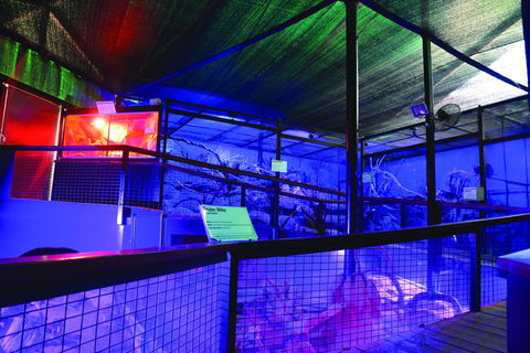 Kuranda Koala Gardens - Attractions Las Vegas 2